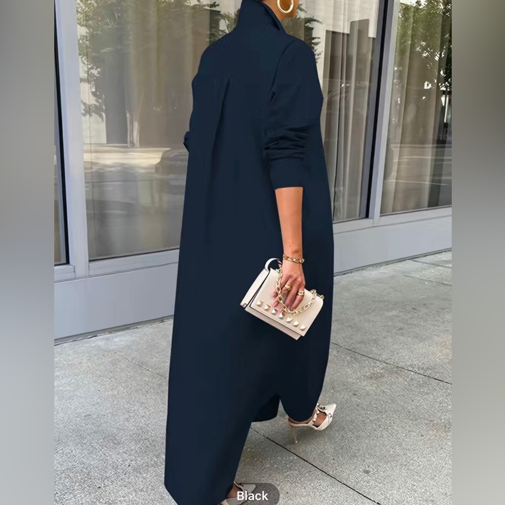 Passion Chic Button Down Classic Shirt Dress - Picture 5 of 11